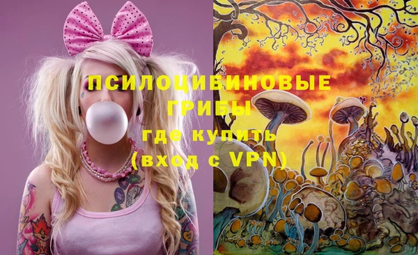 spice Белокуриха
