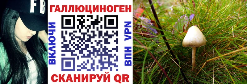 Галлюциногенные грибы мухоморы  купить наркотики цена  блэк спрут маркетплейс  Кораблино 