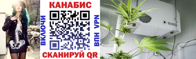 МАРИХУАНА White Widow Кораблино